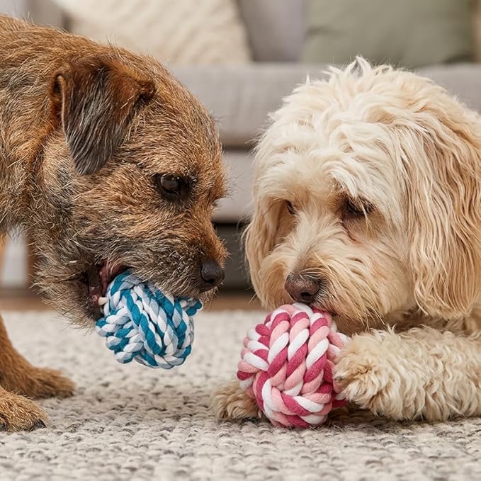 Durable Cotton Rope Dog Ball Toy, Hand-Woven Chew and Teeth-Cleaning for Puppies and Small to Medium Dogs, Interactive Play and Training (2-Red Set) (Red-to-White Color)
