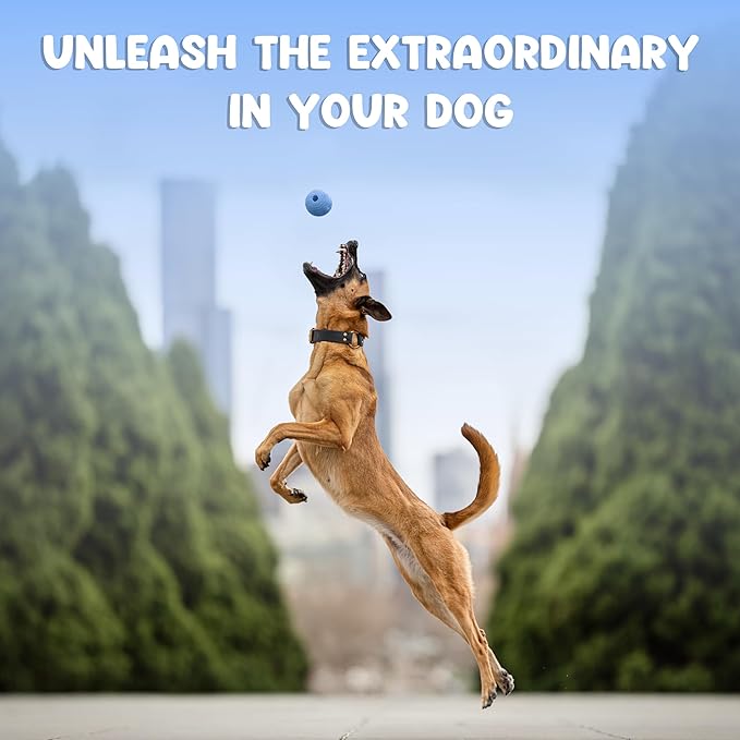 Foam Fetch Ball for Dogs – Durable EVA Foam Dog Ball, Interactive Chew Toy for Dogs, Lightweight Floating Ball for Water, Pool & Outdoor Fetch Games (Blue, Large)