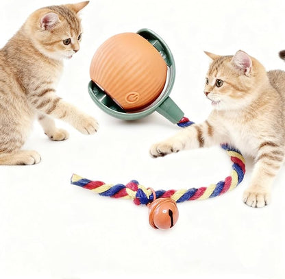 Interactive Cat Toy Ball with Bell, Moving Cat Toys Ball for Indoor Cats, Fast Rolling on Carpet, USB C Charging Automatic Kitten Toys for Bored Cats
