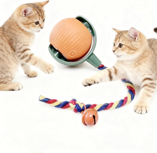 Interactive Cat Toy Ball with Bell, Moving Cat Toys Ball for Indoor Cats, Fast Rolling on Carpet, USB C Charging Automatic Kitten Toys for Bored Cats