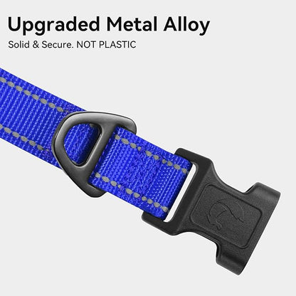 Joytale Reflective Dog Collar, Soft Neoprene Padded, Metal D-Ring, Nylon Pet Collar Adjustable for Extra Large Dogs, Royal Blue, XL