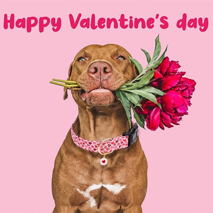 Faygarsle Valentine's Day Dog Collar Cute Loving Heart Printed Collar for Dogs for Small Medium Large Dogs Pink Cotton Collar for Girl and Boy Dogs XS