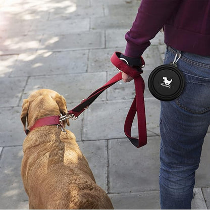 Collapsible Dog Bowls for Travel, 2-Pack Dog Portable Water Bowl for Dogs Cats Pet Foldable Feeding Watering Dish for Traveling Camping with Carabiners, BPA Free (Grey&Black, Small (Pack of 2))