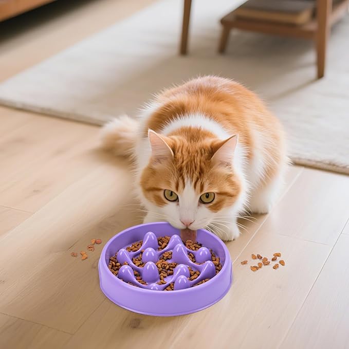 Slow Feeder Dog Bowls, Maze Dog Bowl Slow Feeder for Healthy Eating, Non-Slip Dog Food Bowl, Food-Grade Puppy Bowl, Slow Feeder Cat Bowl & Cat Food Bowl, Puzzle Dog Bowls for Small & Medium Pets
