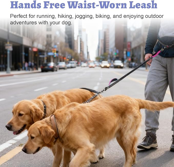 Hands Free Double Dog Leash for Two Dogs- No Tangle No Pull Dual Leash with Padded Adjustable Waist Belt & Reflective Stitching - Ideal for Running, Jogging, Hiking with Medium & Large Breeds