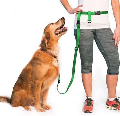 The Buddy System Hands Free Dog Leash, Adjustable Leash for Running, Jogging, Training and Service Dogs, Great for Small, Medium and Large Dogs, Made in USA (Green, Regular Belt (22"- 40" Waist))