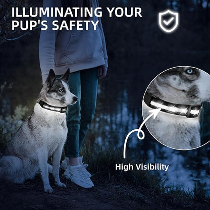 LED Dog Collar for XSmall Dogs & Toy Breeds – USB-C Rechargeable Light Up Dog Collar, Fully Waterproof Adjustable Glow Collar for Night Walking & Safety(White,XS)