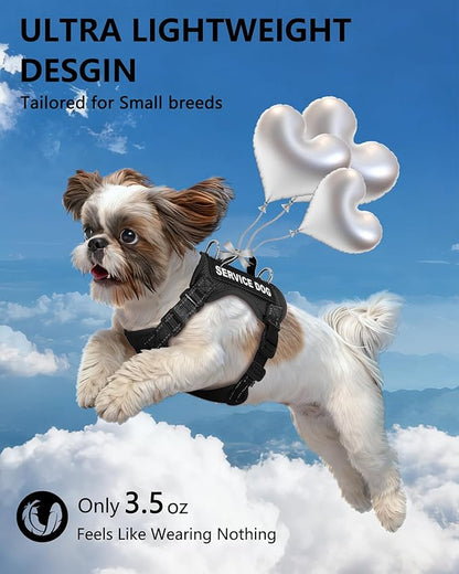 Service Dog Vest for Small Breed Dogs with ID Tag – Lightweight Puppy Harness and Leash Set with 6 PCS Patches, Ideal Service Animal Vest for Training, Complete Service Dog Gear, Black, S