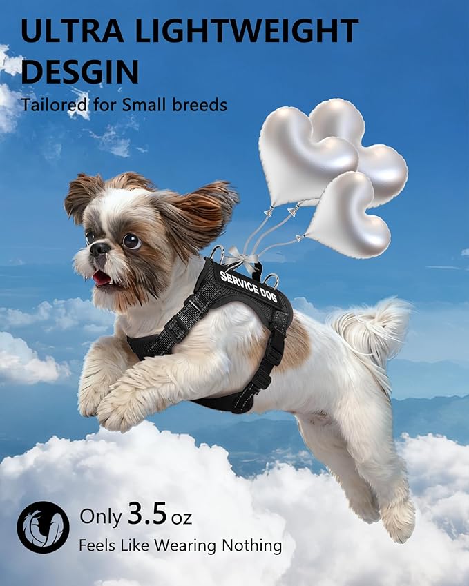 Service Dog Vest for Small Breed Dogs with ID Tag – Lightweight Puppy Harness and Leash Set with 6 PCS Patches, Ideal Service Animal Vest for Training, Complete Service Dog Gear, Black, L