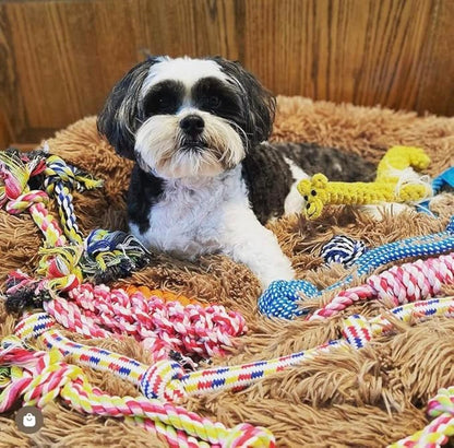 Pacific Pups Puppy Teething Toys -11 Pack Puppy Chew Toys for Teething - Gentle Rope Dog Toys - Multipack Chew Toys for Puppies 0-6 Months