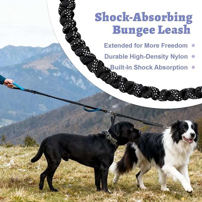 Hands Free Double Dog Leash for Two Dogs- No Tangle No Pull Dual Leash with Padded Adjustable Waist Belt & Reflective Stitching - Ideal for Running, Jogging, Hiking with Medium & Large Breeds