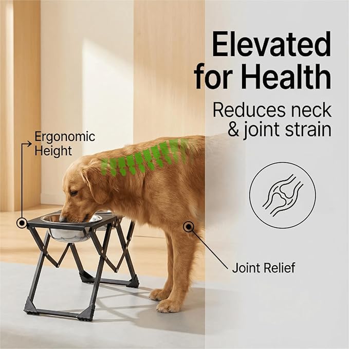 Foldable Elevated Dog Bowl Holder with 2 Large 58oz Stainless Steel Bowls, 10.2" Tall Raised Dog Bowl Stand for Medium/Large Breeds, Indoor and Outdoor Use