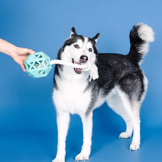 Fringe Studio Pull My Way Turquoise Rubber Dog Toy, Pet Shop Collection (518030)
