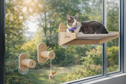 Cat Window Perch & Wall Hammock – 2-in-1 Solid Wood Window Seat with Strong Suction Cups & Wall Mount Option – Indoor Shelf with Climbing Steps + Hanging Toy
