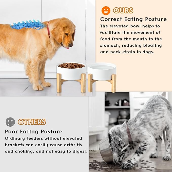 SPUNKYJUNKY Ceramic Elevated Dog Bowls 2 Pack - 5.1inch Raised Dog Bowls with Non-Slip Wooden Stand for Small Dogs Dishwasher Safe(White,13.5OZ*2)