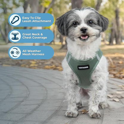 Best Pet Supplies - All Weather Mesh/Plush, Reflective, No Pull Harness for Small, Medium Dogs, Cats - Secure with Hook & Loop Fastener, Buckle, Double D-Rings - Moss Green, M