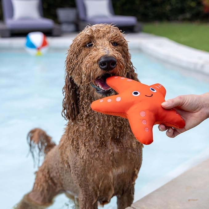 Fringe Studio Shelly Floating Dog Toys, Pet Shop Collection (640004)