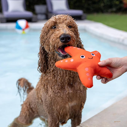 Fringe Studio Shelly Floating Dog Toys, Pet Shop Collection (640004)