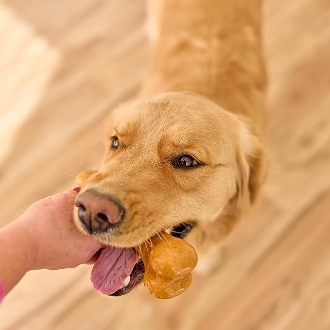 SPOT Bam-Bones Plus Dino Bone - Bamboo Fiber & Nylon, Durable Long Lasting Dog Chew for Aggressive Chewers – Great Toy for Dogs Under 90lbs, Non-Splintering, 7.25in Peanut Butter Flavor Allergen Free