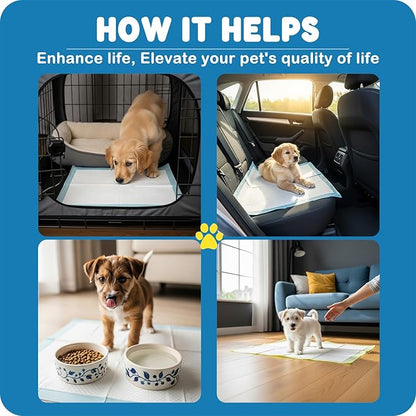 MoMoCo Puppy Pads 23" x 23", 6-Layer Super Absorbent Dog Pee Pads, Leak-Proof Dog Training Pads for Hardwood Floors & Apartments, Flash-Dry Disposable Potty Pads for Puppies & Senior Dogs, 100 Count