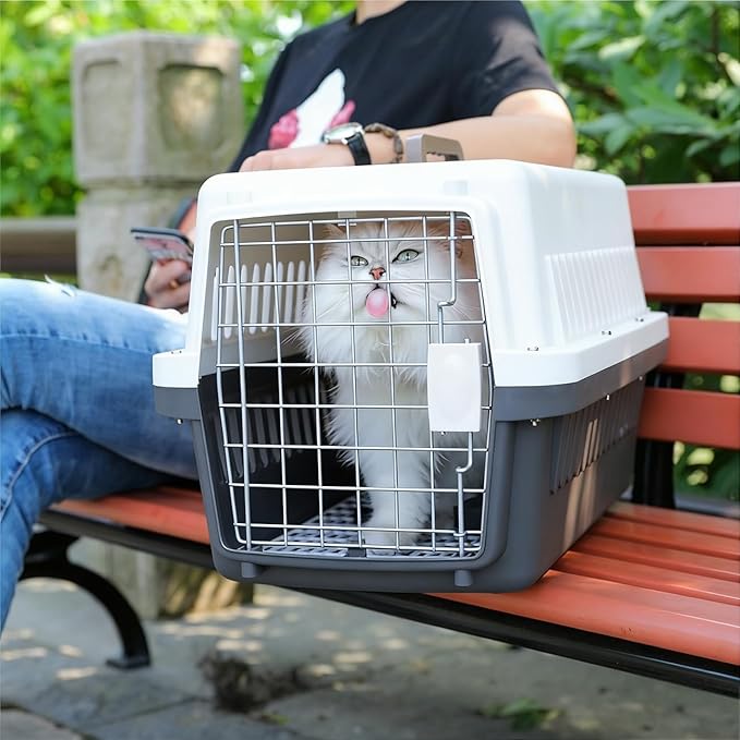 Basic Hard-Sided Dog and Cat Kennel, Beige Single-Door Travel Pet Carrier with Metal Wire Ventilation, 18.9" L x 12.6" W x 11.8" H
