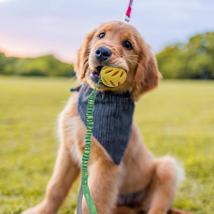 Dog Ball On a Rope Dog Toy, Dog Rope Toys with Handle for Tug, Tug Ball Toy for Small Medium Large Dogs Ideal for Interactive Dog Training and Dogs of All Ages | 45cm (18inches) in Size