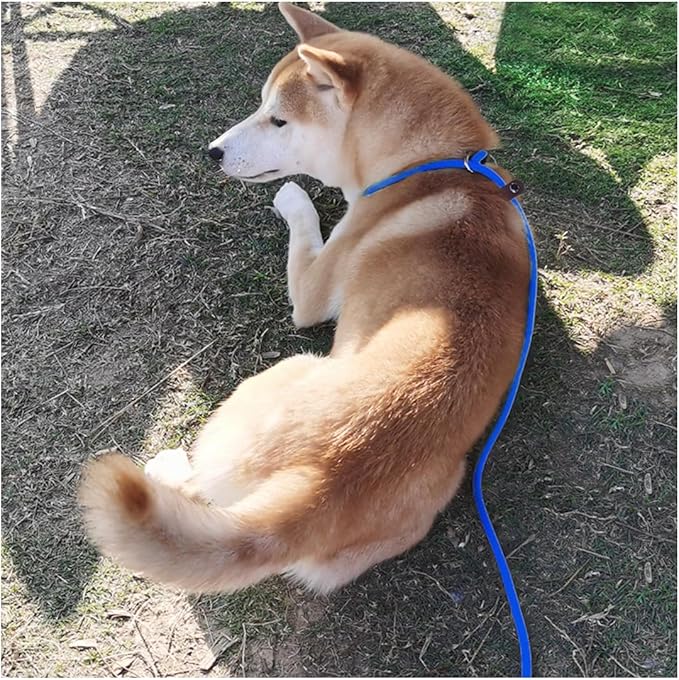MayPaw Slip Lead Control Leash for Dogs No Pull, 13+ Colors Classic 7 FT Pet Dog Slip Leash, 1/4” Rope Leashes for Small Medium Animals (7ft*1/4", Dark Blue)