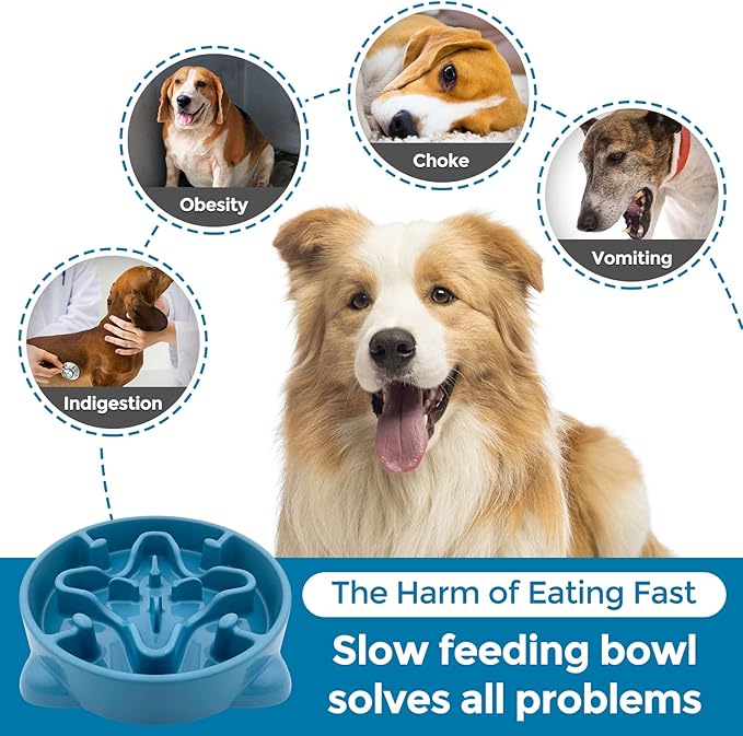 VANNON Slow Feeder Dog Bowls Durable Puzzle Feeder Non Slip Dog Food Dish Bloat Stop Food Bowls for Small Medium Dogs, 3 Cups, BPA Free, Blue