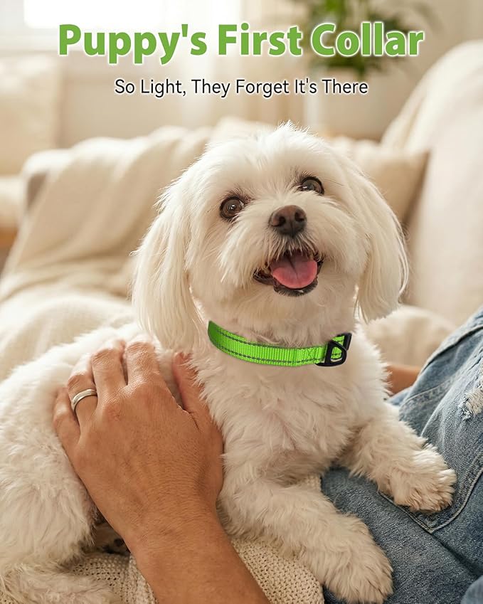 Joytale Dog Collars for Small Dogs, Feather-Light Double-Sided Reflective Nylon Collar for Night Safety, Adjustable Quick-Release for Growing Puppies, Green, S (5/8" Width)