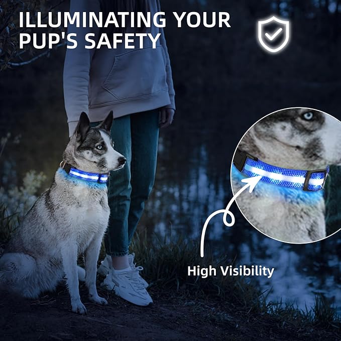 Super Bright LED Dog Collar - Fully Waterproof & Adjustable Glow Collar - USB-C Rechargeable for Night Walking, Safety - Flashing Lighted Collar for Dogs(Blue,L/XL)