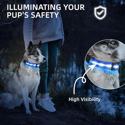 Super Bright LED Dog Collar - Fully Waterproof & Adjustable Glow Collar - USB-C Rechargeable for Night Walking, Safety - Flashing Lighted Collar for Dogs(Blue,L/XL)