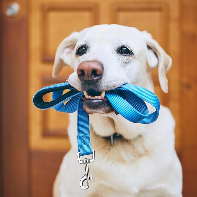 Vicenpal 12 Pcs Double Sided Reflective Dog Leash with Soft Padded Handle, Bulk Nylon Animal Leashes for Medium and Large Dogs Heavy Duty Animal Leash for Walking, Training, 6 Colors(6 ft,Cute Colors)