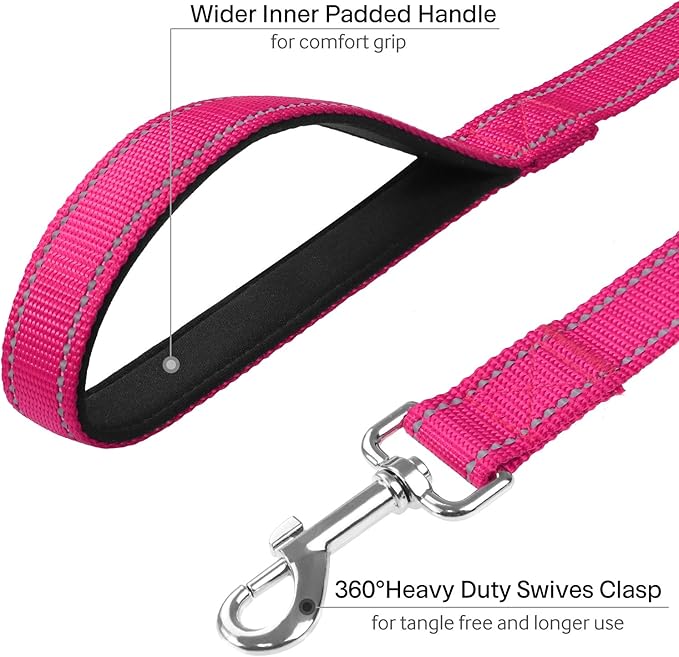 FunTags 6FT Reflective Dog Leash with Soft Padded Handle for Training,Walking Lead for Medium & Small Dogs,3/4 Inch Wide,HOTPINK