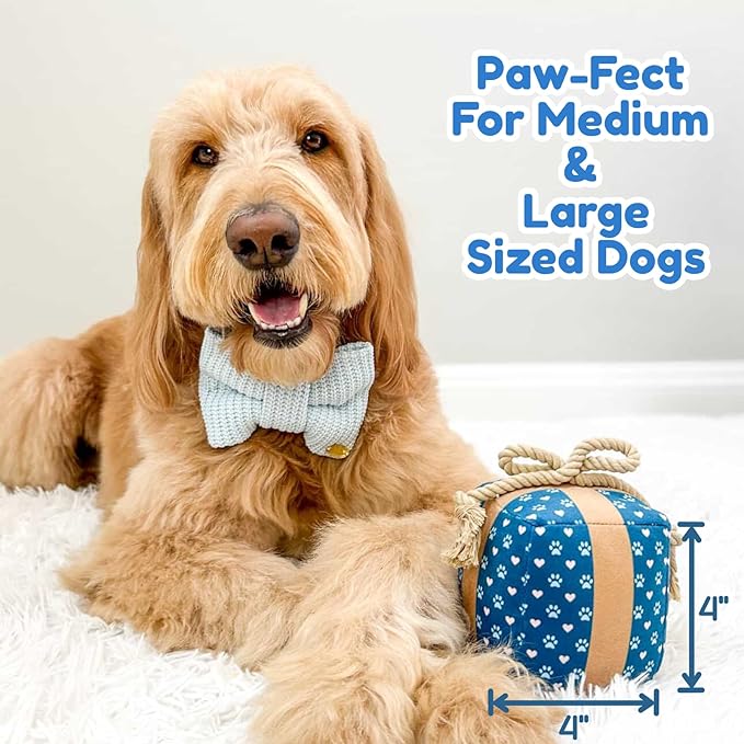 Gift Box Dog Birthday Toy – Cute Plush with Squeaker, Rope & Crinkle, Birthday Gift for Dogs