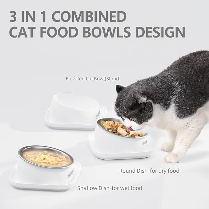 Cat Bowls Elevated Tilted Whisker Friendly, Cat Food Bowls for Indoor Cats, Shallow Food Dishes Stainless Steel, Slanted Flat Plastic Feeder Elevated Angled Design.(White)