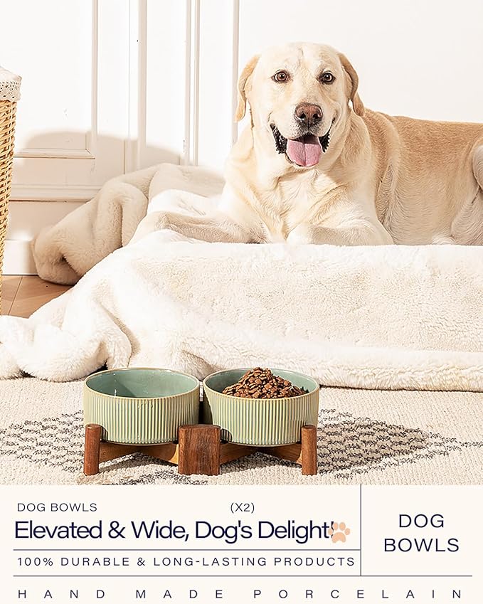 Getstar Ceramic Dog Bowls Set with Acacia Wood Stand, 3.5 Cups Pet Bowls Set of 2 for Medium Dogs, Cute Dog Food Bowl, Cat Bowls