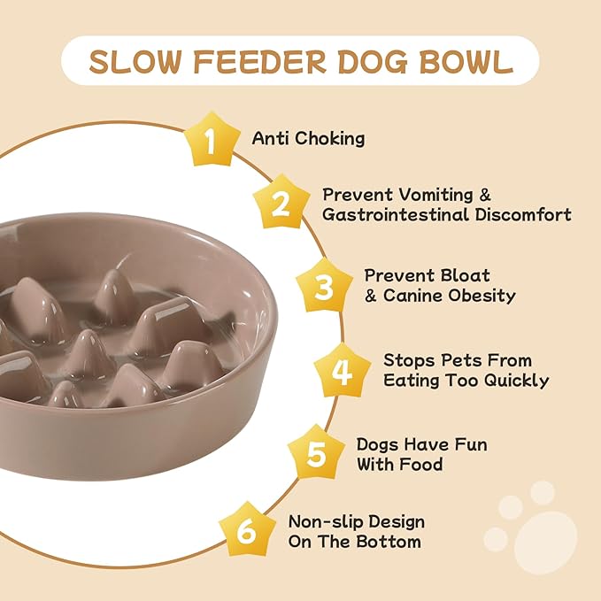 Ceramic 0.9 Cup Raised Slow Feeder Dog Bowl Set, Elevated 6.1inch Slow Dish and 6.1inch Water Bowl with Wooden Stand for Small Dogs (2 x Brown Coffee+ Stand)