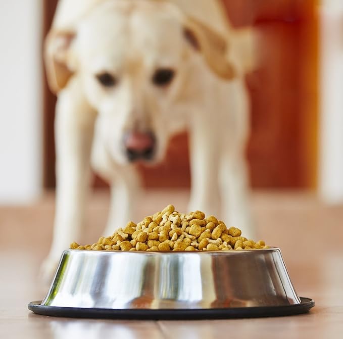 Estilo Stainless Steel Dog Bowls, 32 Oz (Set of 2)