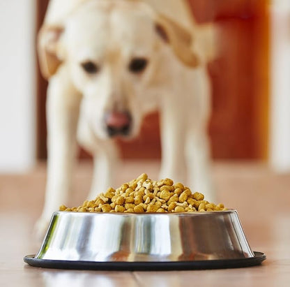 Estilo Stainless Steel Dog Bowls, 32 Oz (Set of 2)