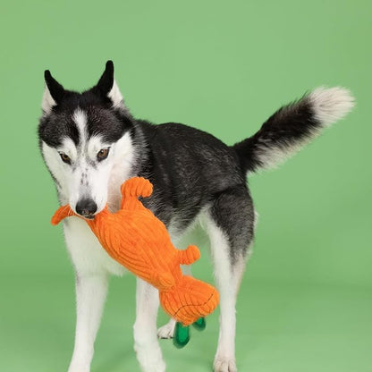 Fringe Studio Plush Dog Toy, Carrot ‘Bout You, Petshop Collection (314305)