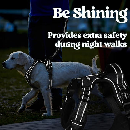 rabbitgoo Dog Harness Small Sized, No Pull Pet Harness with 3 Buckles, Adjustable Soft Padded Vest with Control Handle, Walking Reflective Pet Vest for Small Dogs, Black, S