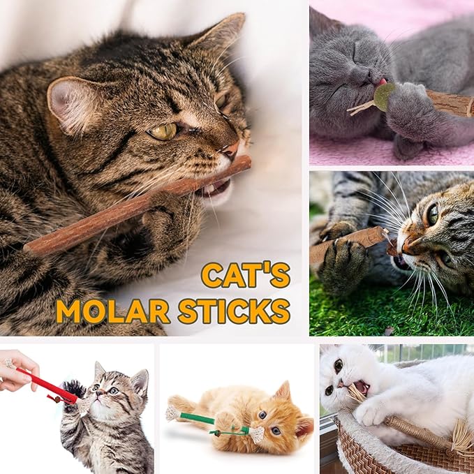 Kyouki Cat Toys Cat Chew Toys, Silvervine Sticks Catnip Rope Toys for Cats Teeth Cleaning, Kitten Dental Care, Kitty for Indoor Cats Increase Appetite,Enhances Oral & Dental Health (20 Pack)