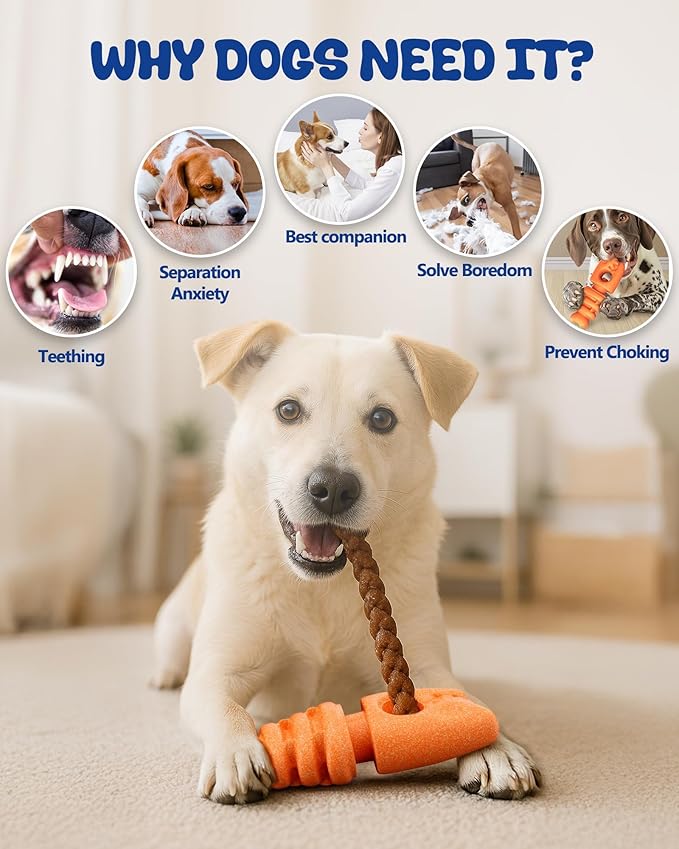 Bully Stick Holder, Durable Dog Chew Holder for Safe, Anti-Choking Chew Toy for Aggressive Chewers, Fits Various Bully Sticks and Dog Sizes