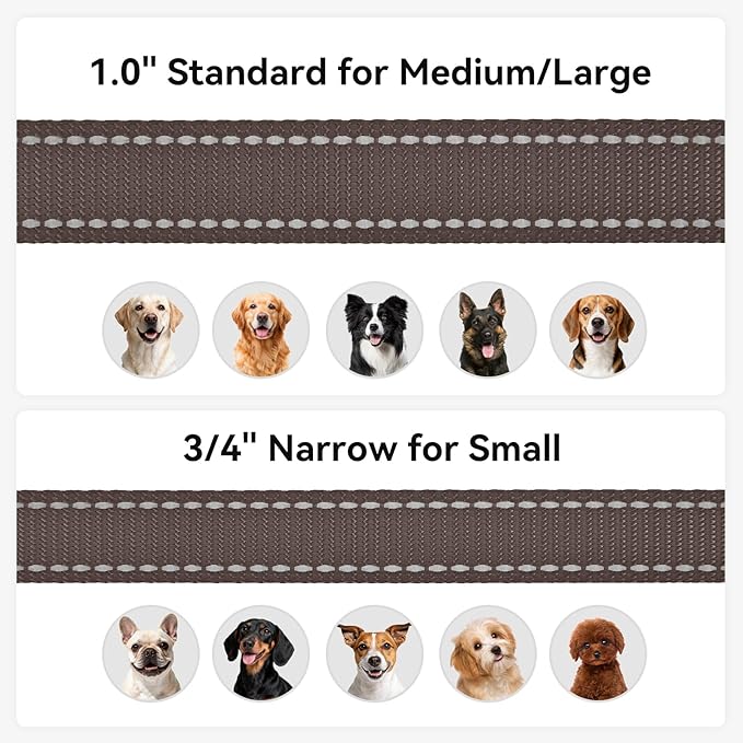 Joytale Double-Sided Reflective Dog Leash, 4 FT, Padded Handle Nylon Heavy Duty Leashes for Medium & Large Dogs Walking, Brown