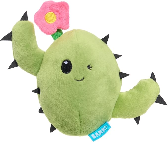 Barkbox Consuela the Cactus 2-in-1 Interactive Plush Dog Toy - Squeaky Dog Chew Toy with Crinkle Layers - for Large Dogs and Puppies