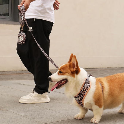 5 FT Stylish Dog Leash, Soft Dog Leashes with Comfortable Padded Handle, Metal Carabiner Clip, Strong No Pull Pet Leash for Small Medium Dogs for Walking, Shopping and Running