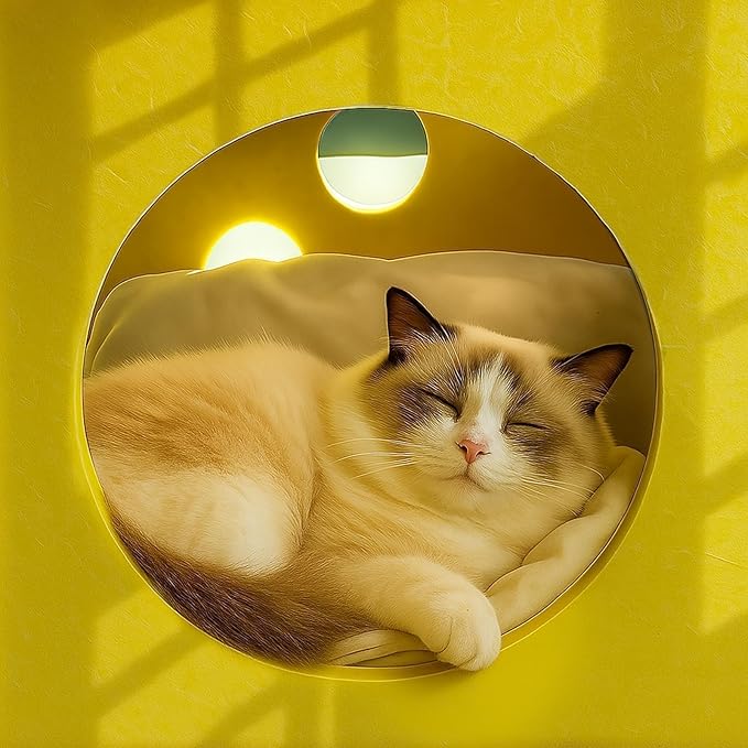 41 Pcs Interactive Cat Toys for Indoor Cats, Kitten Toys with Soft Pillow, Catnip Toys, Chew Rope, Feather Wand, Springs and Balls for Indoor Kittens