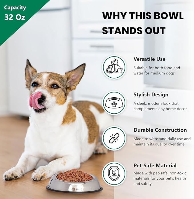 Iconic Pet 4 Cup/32 Oz Heavy Weight Non-Skid Stainless Steel High Back Pet Food/Water Bowls with Removable Anti Skid Rubber Ring - Dog/Cat Feeding Bowl in Unique Design, Dishwasher Safe