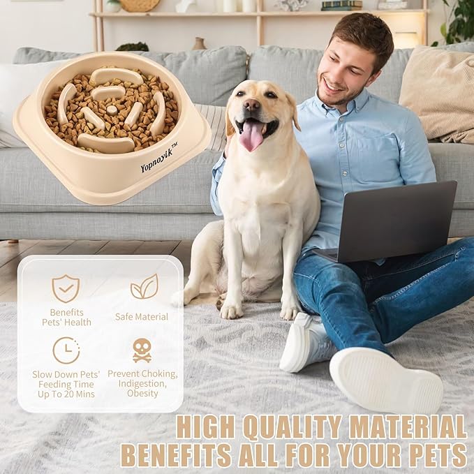 Slow Feeder Dog Bowls for Healthy Eating, Non-Slip and Anti-Choking Design, Reduces Bloating & Overeating for Medium Dogs and Cats, Easy to Clean