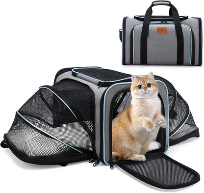 Expandable Airline Approved Pet Carrier, Soft-Sided Travel Bag for Small Cats Dogs with Hard Shell Base, Removable Fleece Pad, Ventilated Mesh, Gray (Blue Trim)